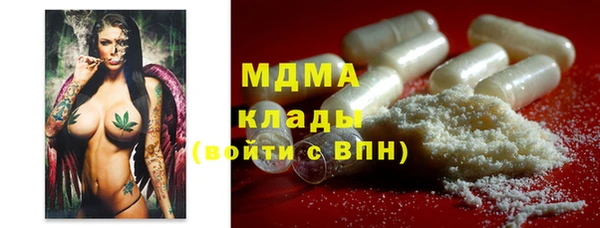 молекула духа Богородицк