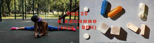 молекула духа Богородицк