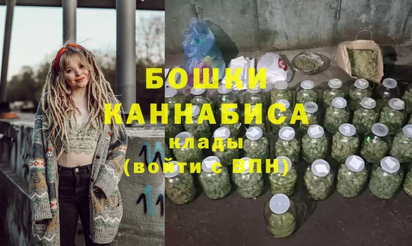 молекула духа Богородицк