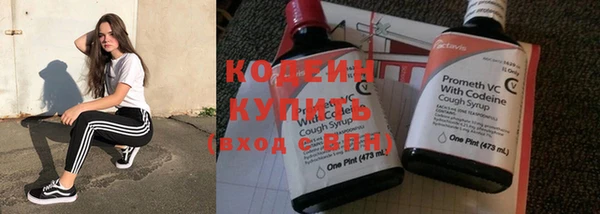 молекула духа Богородицк