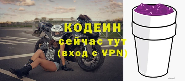 молекула духа Богородицк