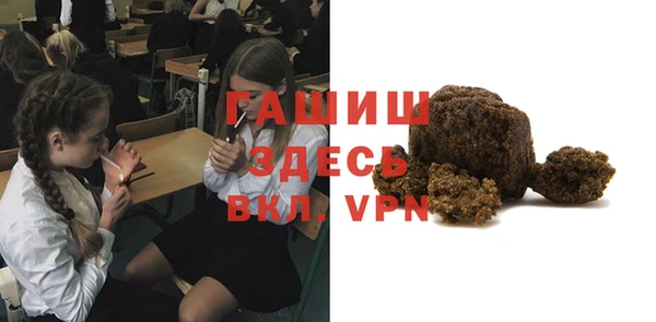 молекула духа Богородицк