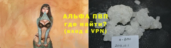 молекула духа Богородицк