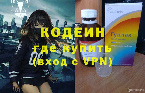 молекула духа Богородицк