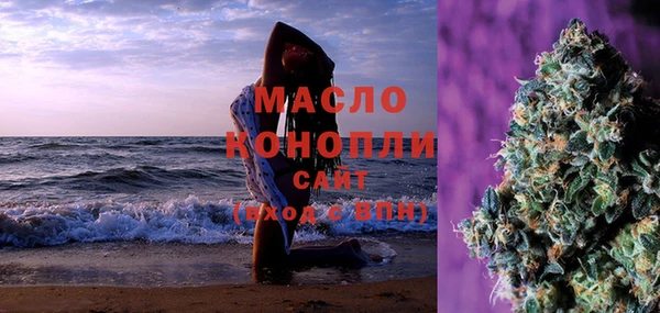молекула духа Богородицк