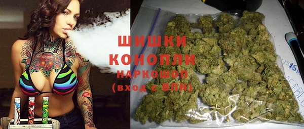 молекула духа Богородицк