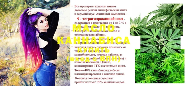 молекула духа Богородицк